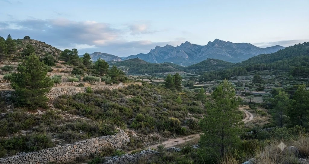 Cazador de caza menor con escopeta y perro en monte mediterr&aacute;neo valenciano de secano